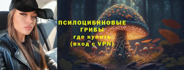 сатива Михайловка