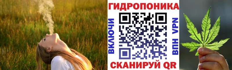 МАРИХУАНА план Медынь