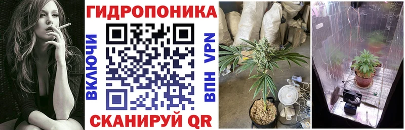 KRAKEN маркетплейс  Медынь  Канабис сатива 